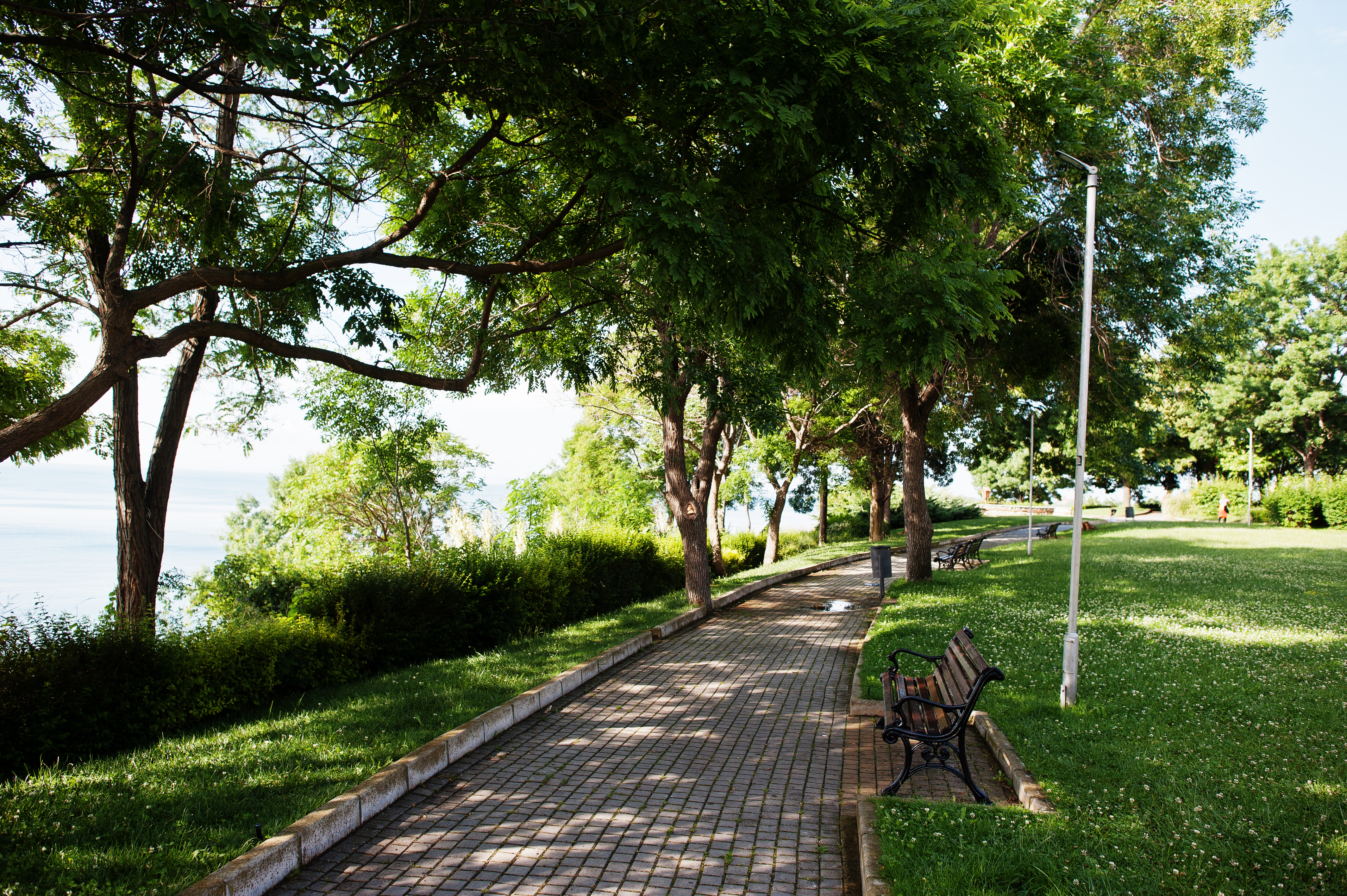 Construcción de parque público en Torreón, Coahuila
